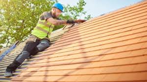 Best Solar Panel Roofing Installation  in Townsend, DE