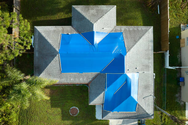 Best Roof Maintenance and Cleaning  in Townsend, DE
