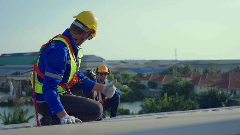 Best Sheet Metal Roofing  in Townsend, DE