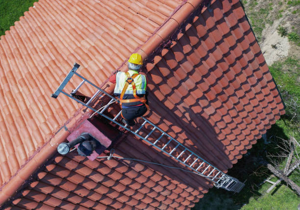 Best Steel Roofing  in Townsend, DE