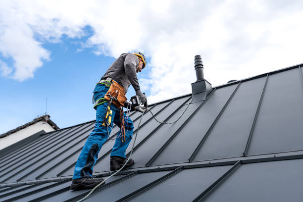 Best Rubber Roofing (EPDM, TPO)  in Townsend, DE