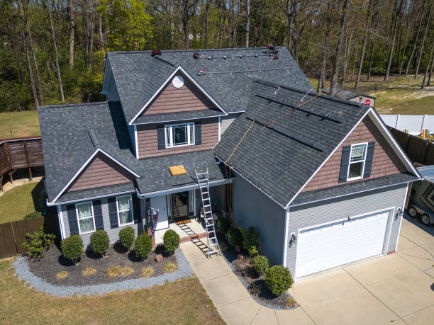 Best Skylight Installation and Repair  in Townsend, DE